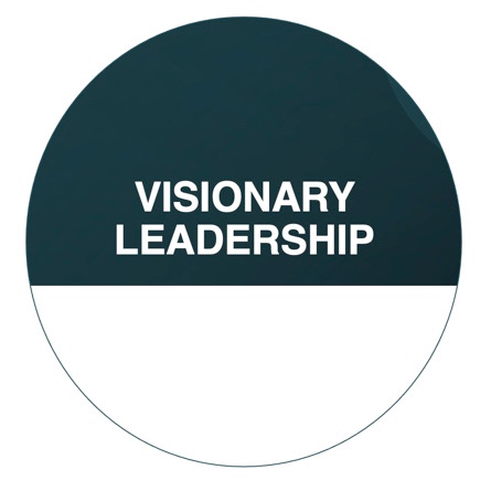 Visionary leadership image