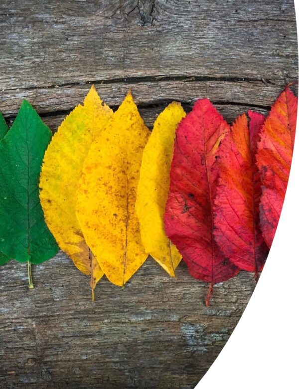 Change pic SU