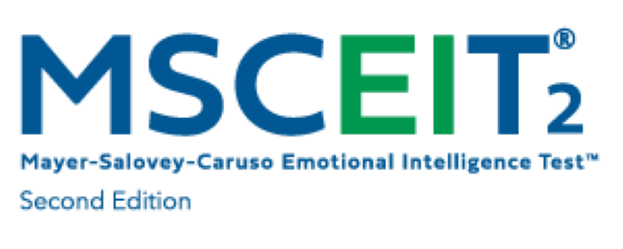 msceit2-logo-full (4)RZ